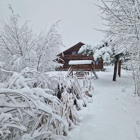 ヴァトラ・ドルネイ Casa De Munteヴィラ エクステリア 写真