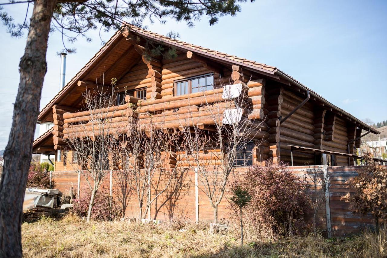 ヴァトラ・ドルネイ Casa De Munteヴィラ エクステリア 写真