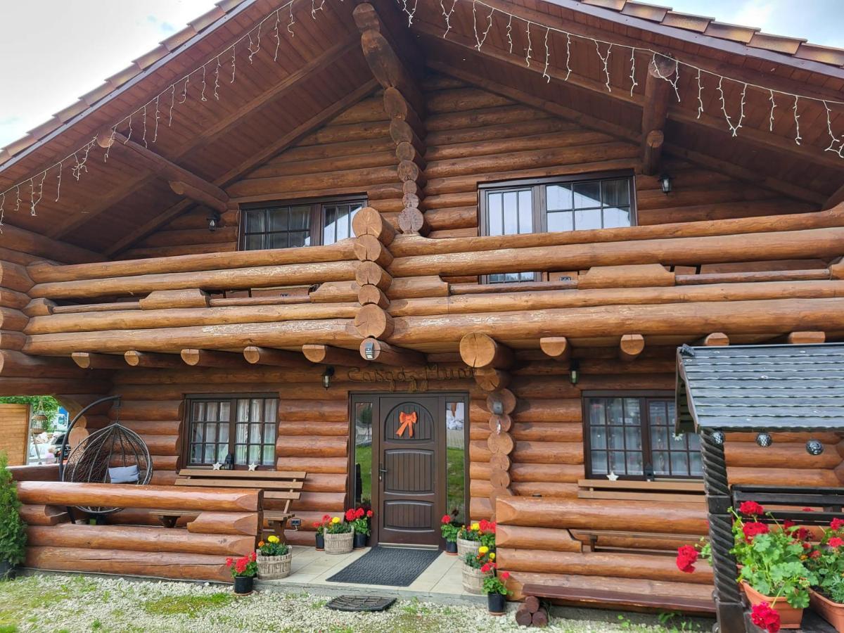 ヴァトラ・ドルネイ Casa De Munteヴィラ エクステリア 写真