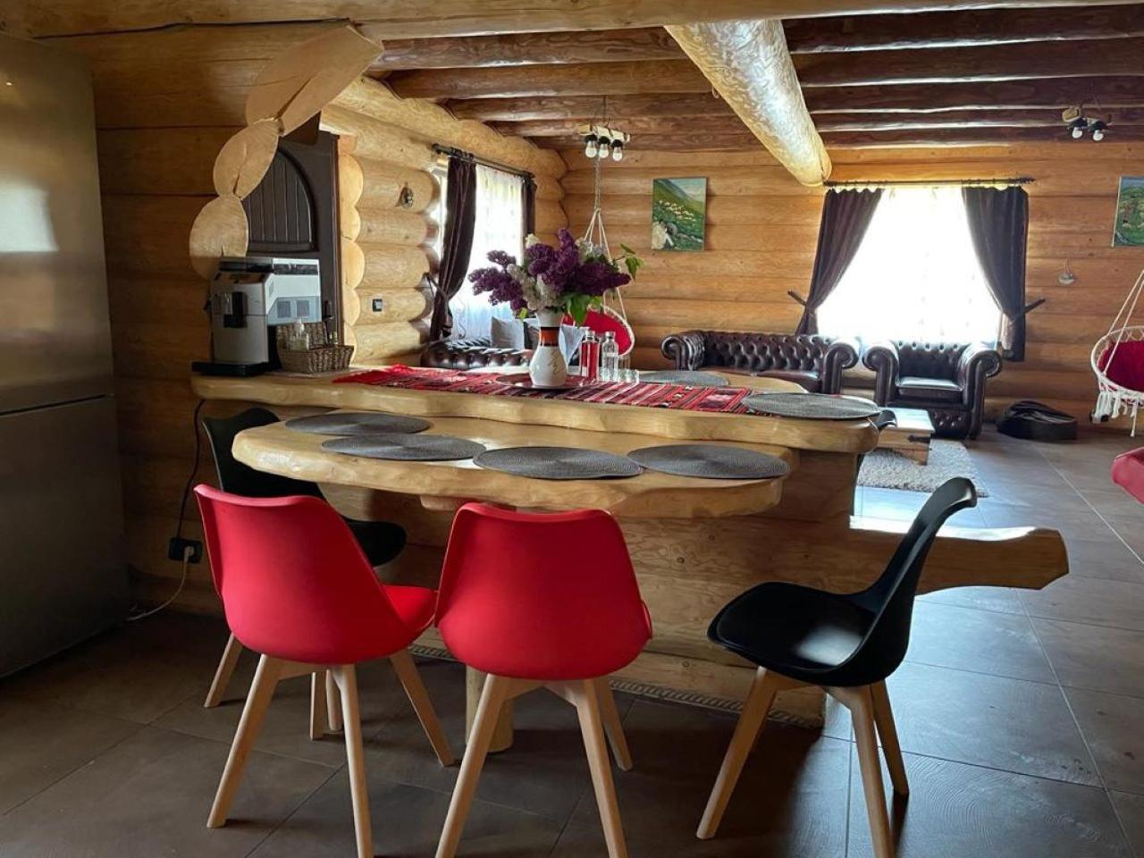 ヴァトラ・ドルネイ Casa De Munteヴィラ エクステリア 写真